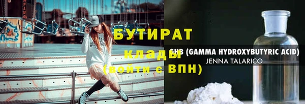 мдпв Гусь-Хрустальный