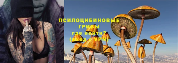 стафф Гусиноозёрск