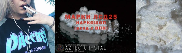 амф Снежногорск