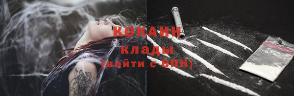 мдпв Гусь-Хрустальный