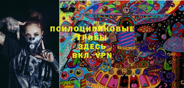 дмт Слюдянка