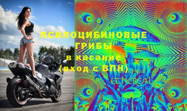 мдпв Гусь-Хрустальный