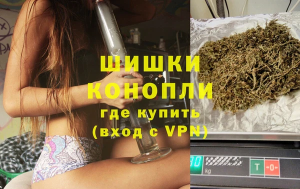амф Снежногорск