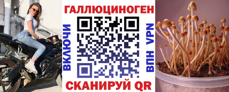 Псилоцибиновые грибы MAGIC MUSHROOMS Большой Камень