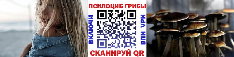 Псилоцибиновые грибы ЛСД  цена   ссылка на мегу как войти  Большой Камень 