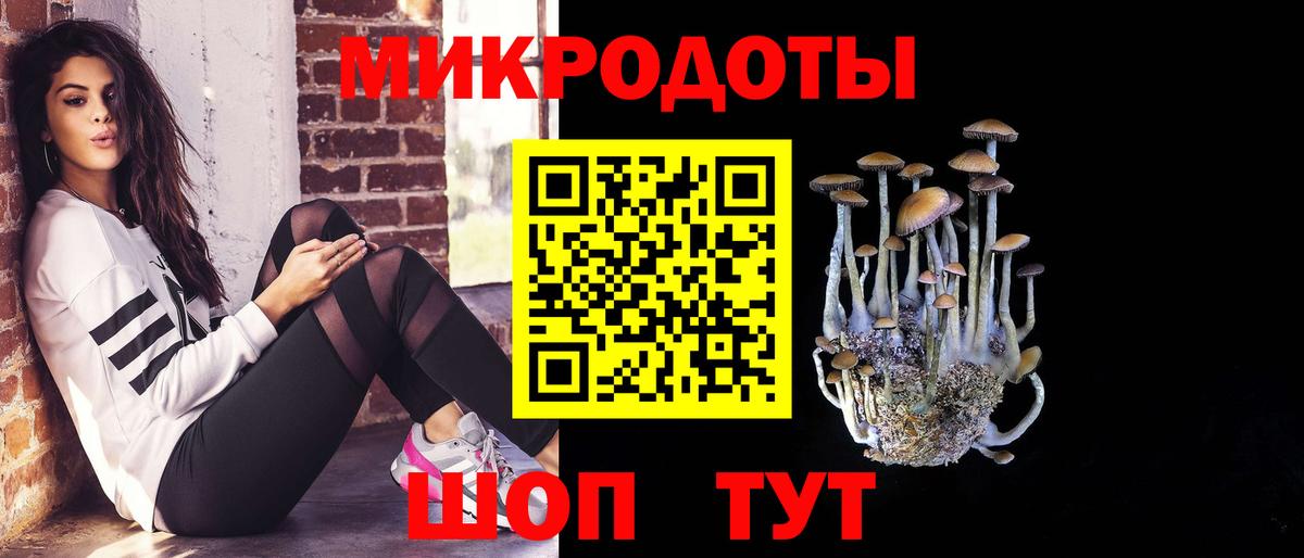 Большой Камень  дарнет шоп  Вход с VPN  Псилоцибиновые грибы GOLDEN TEACHER 