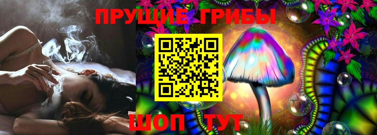 наркота  Большой Камень  Галлюциногенные грибы GOLDEN TEACHER 